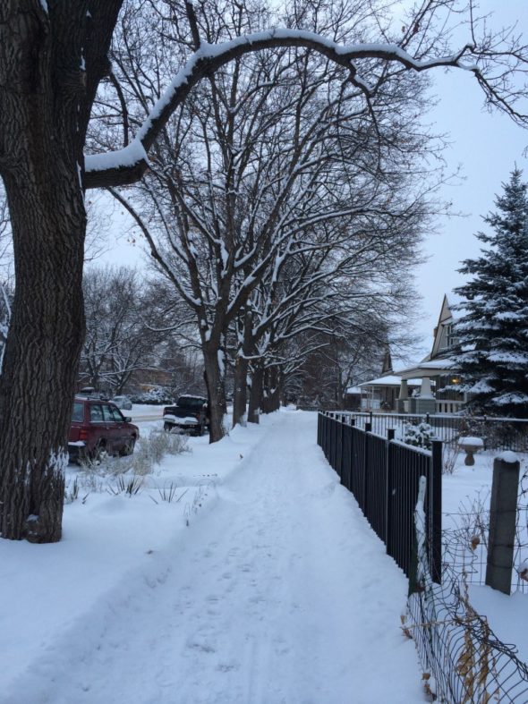 You could use winter photos from your audience to create a slideshow. (Photo courtesy of Asta So)