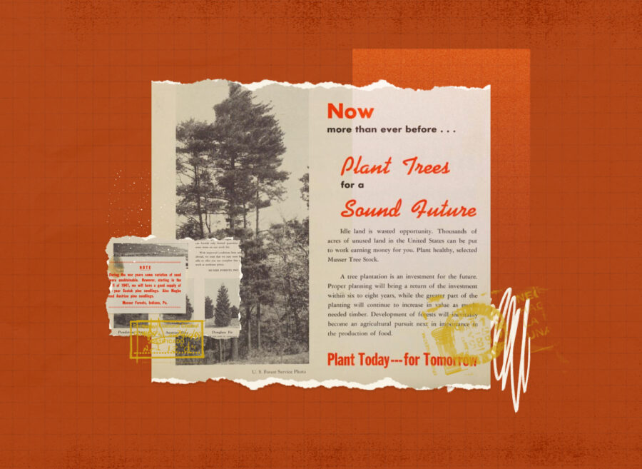 Collage from a vintage ad on buying and planting trees.